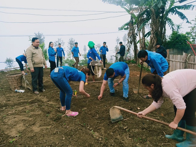 Thanh niên xã Thèn Phàng ra quân giúp các hộ gia đình trong “Cải tạo vườn tạp”